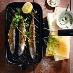 Gril en Fonte rectangulaire 36 x 20 cm avec Manche repliable Le Creuset -Boutique GreenPan gril en fonte rectangulaire 36 x 20 cm avec manche repliable le creuset 4